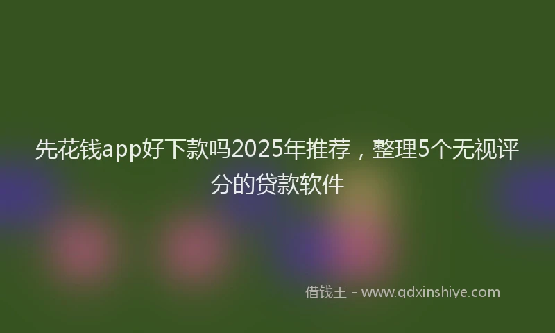 先花钱app好下款吗2025年推荐，整理5个无视评分的贷款软件