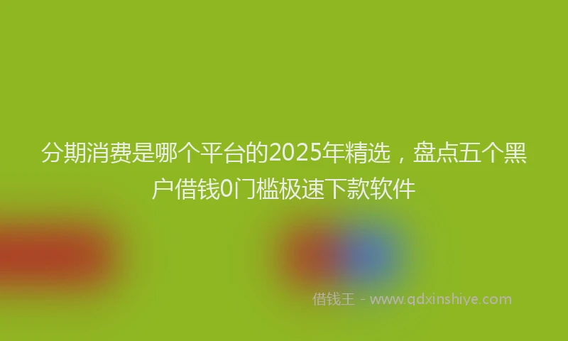 分期消费是哪个平台的2025年精选，盘点五个黑户借钱0门槛极速下款软件