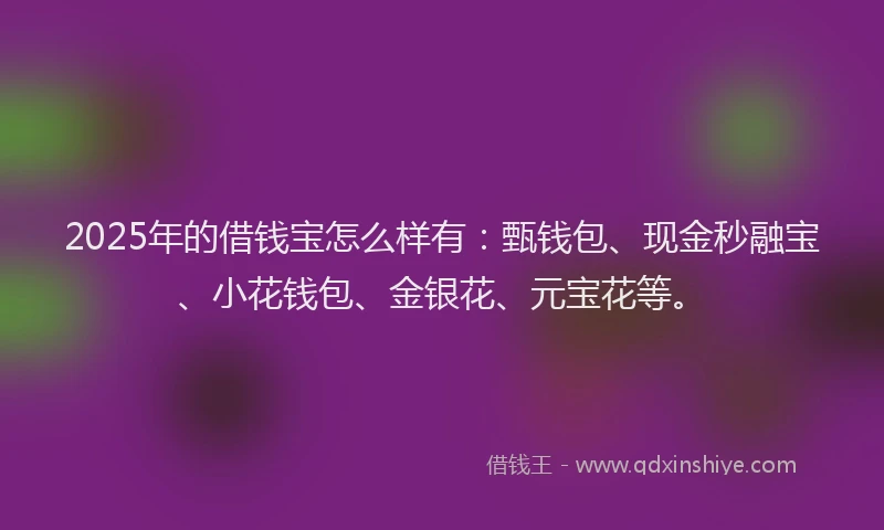 2025年的借钱宝怎么样有：甄钱包、现金秒融宝、小花钱包、金银花、元宝花等。