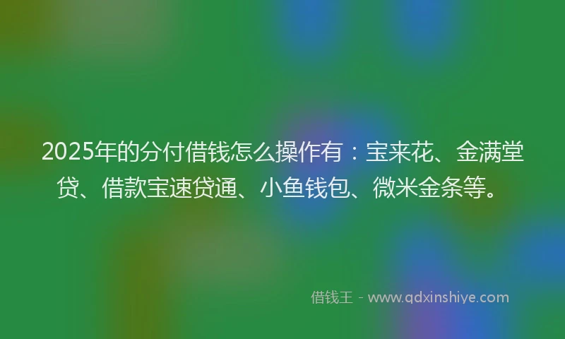 2025年的分付借钱怎么操作有：宝来花、金满堂贷、借款宝速贷通、小鱼钱包、微米金条等。