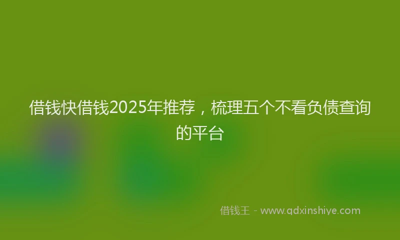 借钱快借钱2025年推荐，梳理五个不看负债查询的平台