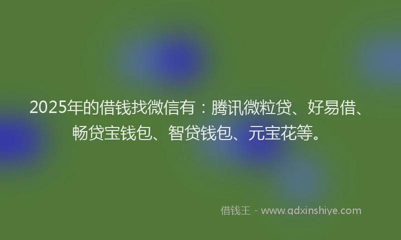 2025年的借钱找微信有：腾讯微粒贷、好易借、畅贷宝钱包、智贷钱包、元宝花等。