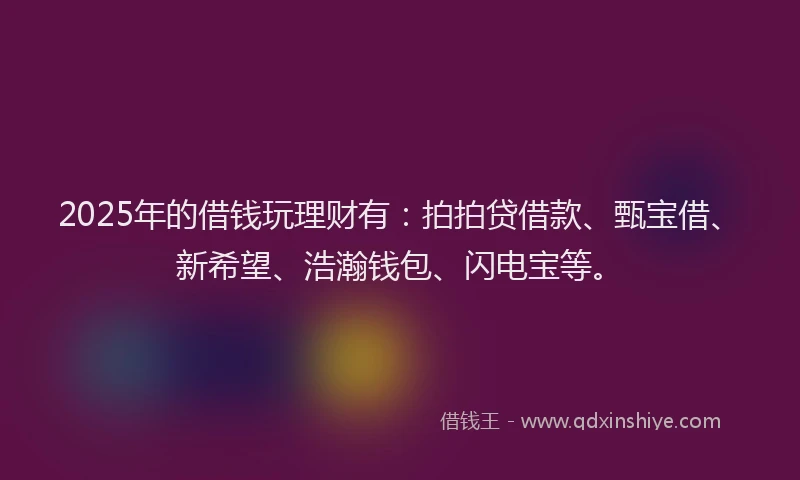 2025年的借钱玩理财有：拍拍贷借款、甄宝借、新希望、浩瀚钱包、闪电宝等。
