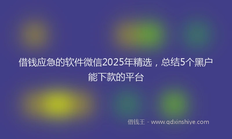 借钱应急的软件微信2025年精选，总结5个黑户能下款的平台