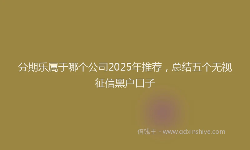 分期乐属于哪个公司2025年推荐，总结五个无视征信黑户口子
