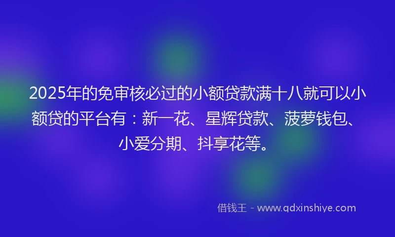 2025年的免审核必过的小额贷款满十八就可以小额贷的平台有：新一花、星辉贷款、菠萝钱包、小爱分期、抖享花等。
