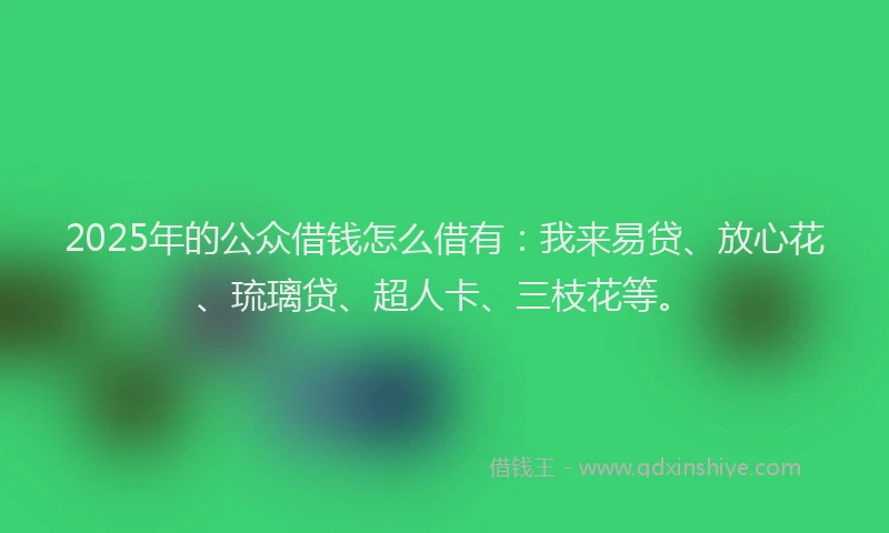 2025年的公众借钱怎么借有：我来易贷、放心花、琉璃贷、超人卡、三枝花等。