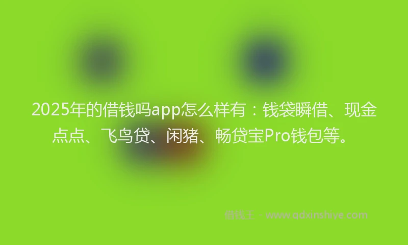 2025年的借钱吗app怎么样有：钱袋瞬借、现金点点、飞鸟贷、闲猪、畅贷宝Pro钱包等。