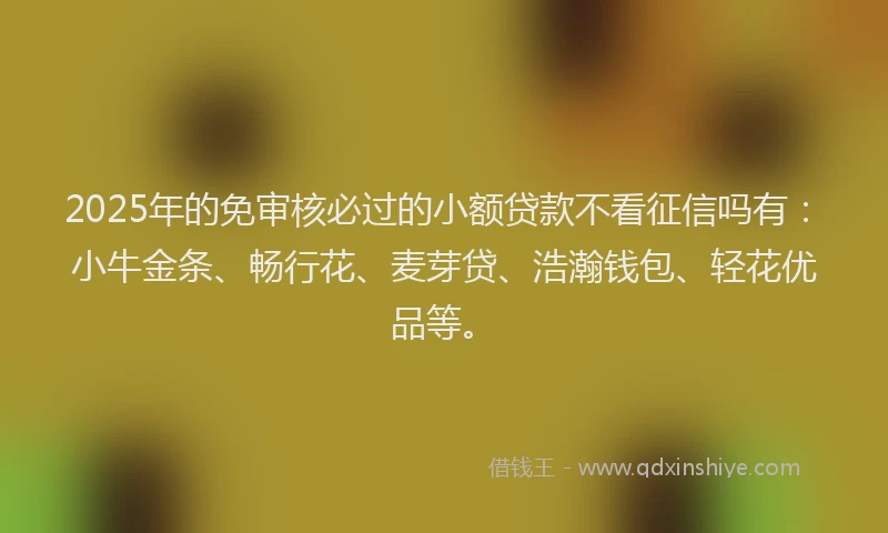 2025年的免审核必过的小额贷款不看征信吗有：小牛金条、畅行花、麦芽贷、浩瀚钱包、轻花优品等。