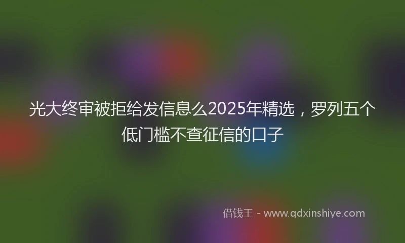 光大终审被拒给发信息么2025年精选，罗列五个低门槛不查征信的口子