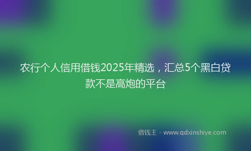 农行个人信用借钱2025年精选，汇总5个黑白贷款不是高炮的平台