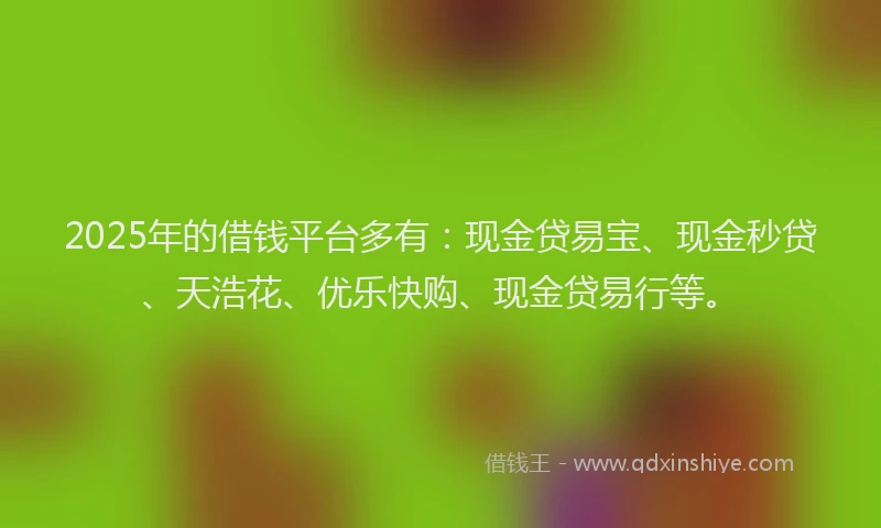2025年的借钱平台多有：现金贷易宝、现金秒贷、天浩花、优乐快购、现金贷易行等。