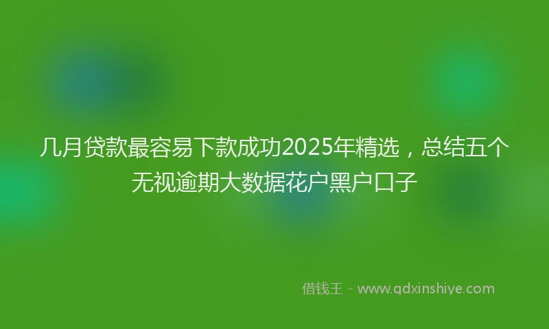 几月贷款最容易下款成功2025年精选，总结五个无视逾期大数据花户黑户口子