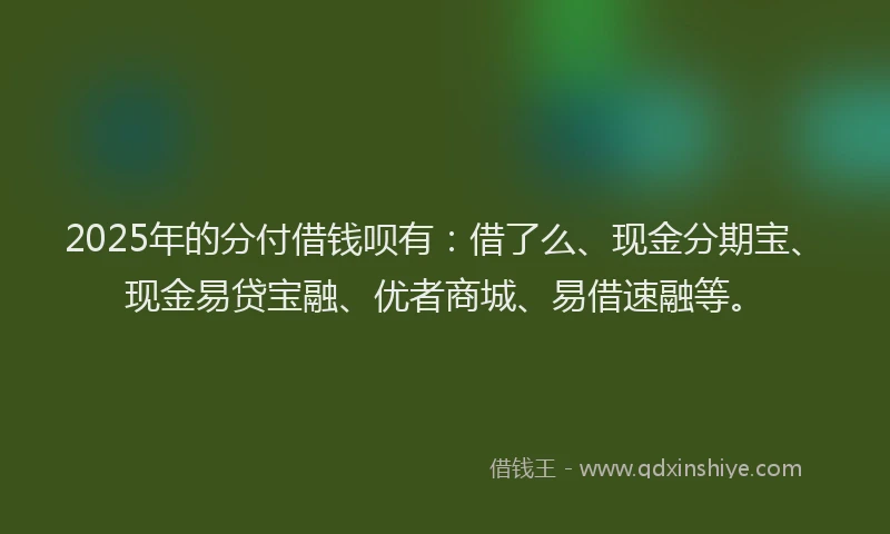 2025年的分付借钱呗有：借了么、现金分期宝、现金易贷宝融、优者商城、易借速融等。