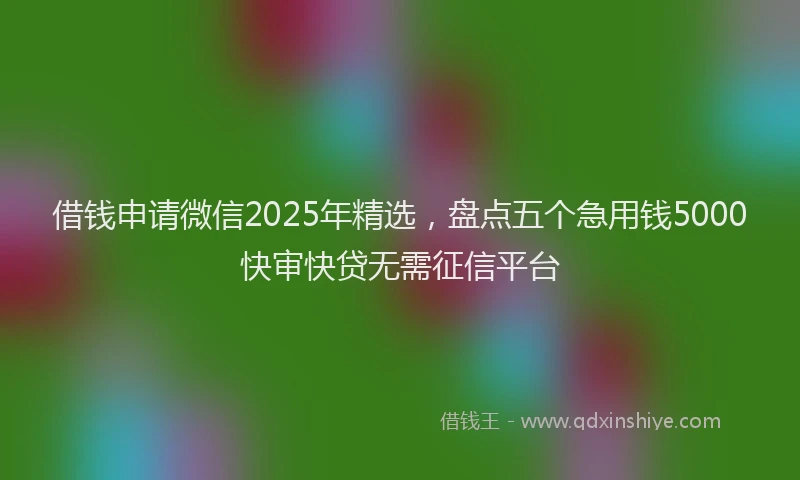 借钱申请微信2025年精选，盘点五个急用钱5000快审快贷无需征信平台
