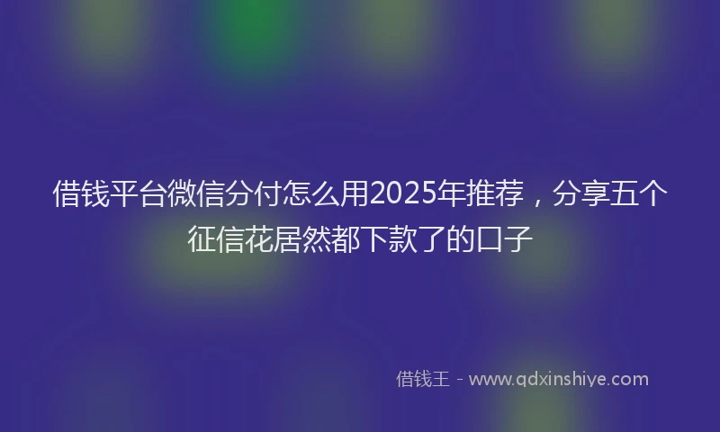 借钱平台微信分付怎么用2025年推荐，分享五个征信花居然都下款了的口子