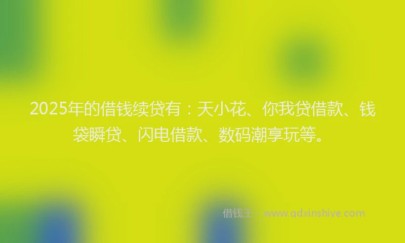 2025年的借钱续贷有：天小花、你我贷借款、钱袋瞬贷、闪电借款、数码潮享玩等。