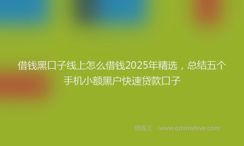 借钱黑口子线上怎么借钱2025年精选，总结五个手机小额黑户快速贷款口子
