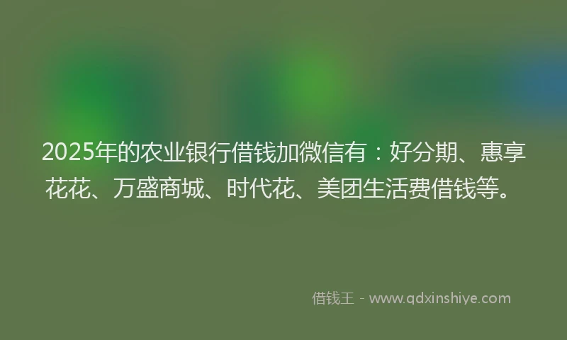2025年的农业银行借钱加微信有：好分期、惠享花花、万盛商城、时代花、美团生活费借钱等。