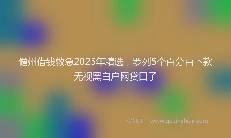 儋州借钱救急2025年精选，罗列5个百分百下款无视黑白户网贷口子