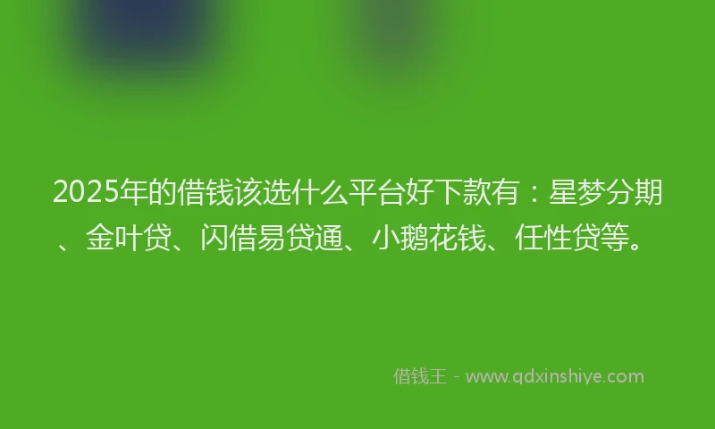 2025年的借钱该选什么平台好下款有：星梦分期、金叶贷、闪借易贷通、小鹅花钱、任性贷等。