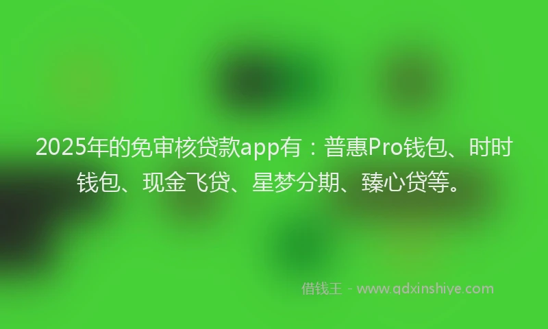 2025年的免审核贷款app有：普惠Pro钱包、时时钱包、现金飞贷、星梦分期、臻心贷等。