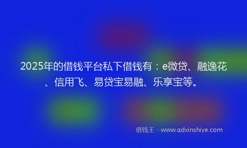 2025年的借钱平台私下借钱有：e微贷、融逸花、信用飞、易贷宝易融、乐享宝等。
