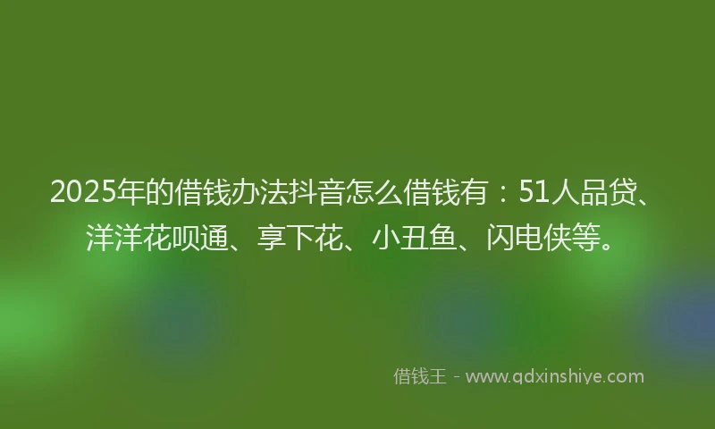 2025年的借钱办法抖音怎么借钱有：51人品贷、洋洋花呗通、享下花、小丑鱼、闪电侠等。