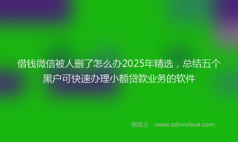 借钱微信被人删了怎么办2025年精选，总结五个黑户可快速办理小额贷款业务的软件