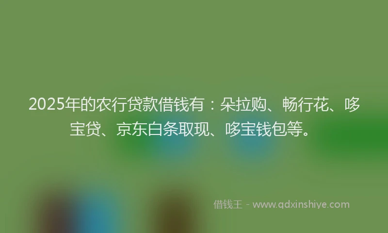 2025年的农行贷款借钱有：朵拉购、畅行花、哆宝贷、京东白条取现、哆宝钱包等。