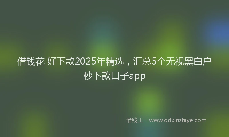 借钱花 好下款2025年精选，汇总5个无视黑白户秒下款口子app