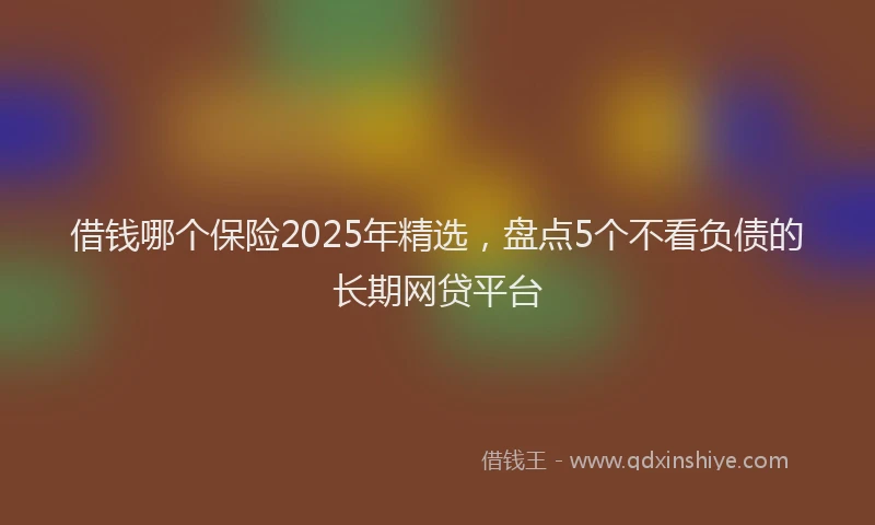 借钱哪个保险2025年精选，盘点5个不看负债的长期网贷平台
