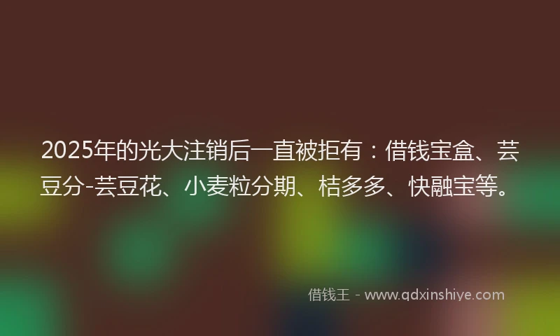2025年的光大注销后一直被拒有：借钱宝盒、芸豆分-芸豆花、小麦粒分期、桔多多、快融宝等。