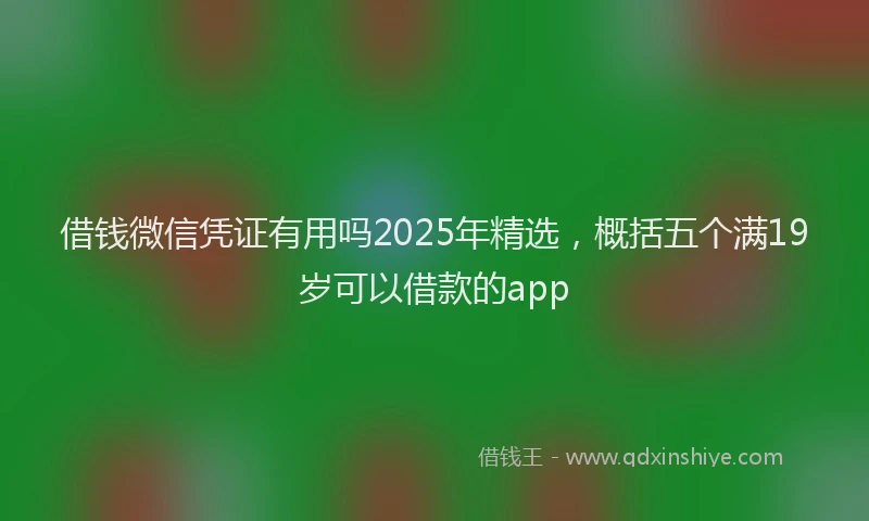 借钱微信凭证有用吗2025年精选，概括五个满19岁可以借款的app