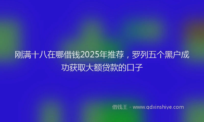 刚满十八在哪借钱2025年推荐，罗列五个黑户成功获取大额贷款的口子