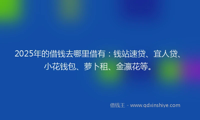 2025年的借钱去哪里借有：钱站速贷、宜人贷、小花钱包、萝卜租、金瀛花等。