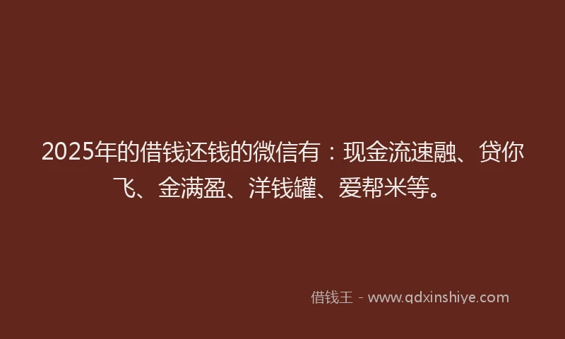 2025年的借钱还钱的微信有：现金流速融、贷你飞、金满盈、洋钱罐、爱帮米等。