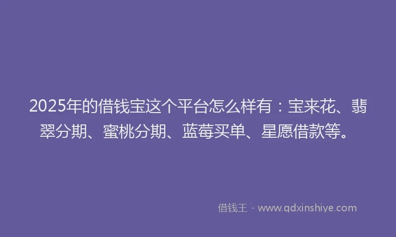 2025年的借钱宝这个平台怎么样有：宝来花、翡翠分期、蜜桃分期、蓝莓买单、星愿借款等。