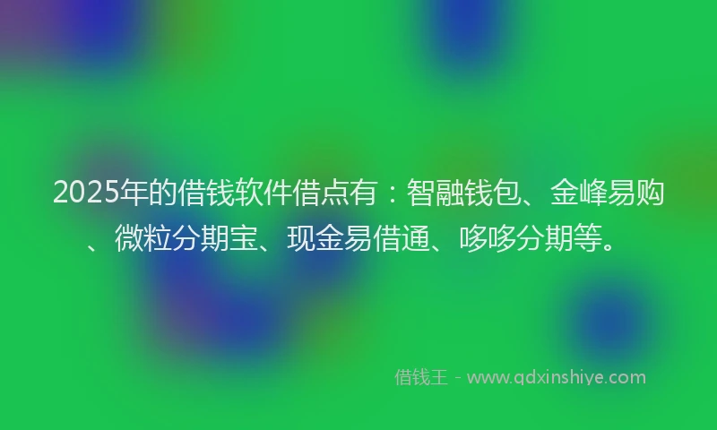2025年的借钱软件借点有：智融钱包、金峰易购、微粒分期宝、现金易借通、哆哆分期等。