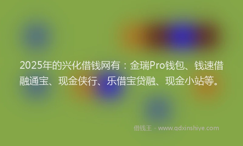 2025年的兴化借钱网有：金瑞Pro钱包、钱速借融通宝、现金侠行、乐借宝贷融、现金小站等。