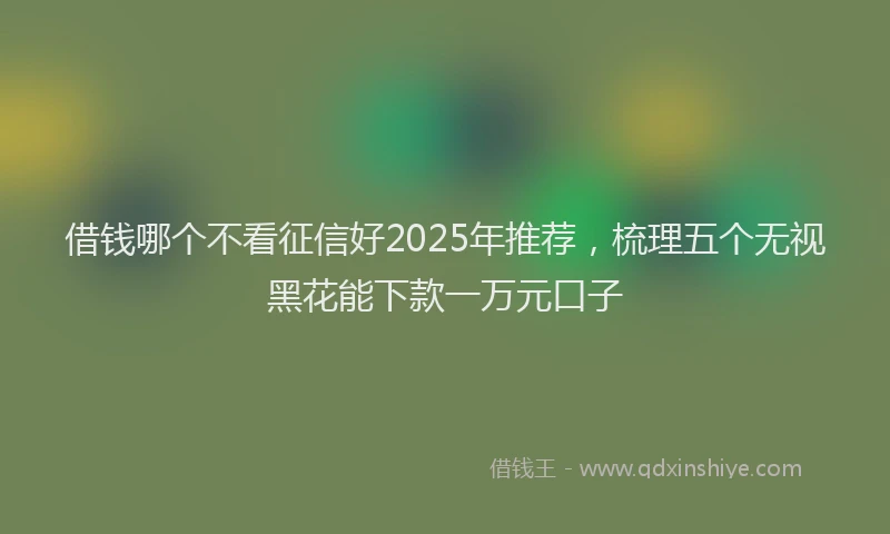 借钱哪个不看征信好2025年推荐，梳理五个无视黑花能下款一万元口子