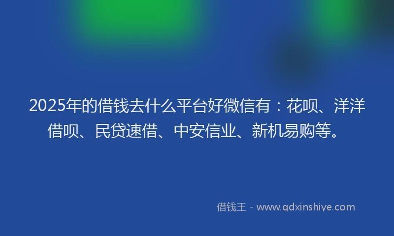 2025年的借钱去什么平台好微信有：花呗、洋洋借呗、民贷速借、中安信业、新机易购等。