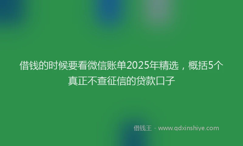 借钱的时候要看微信账单2025年精选，概括5个真正不查征信的贷款口子