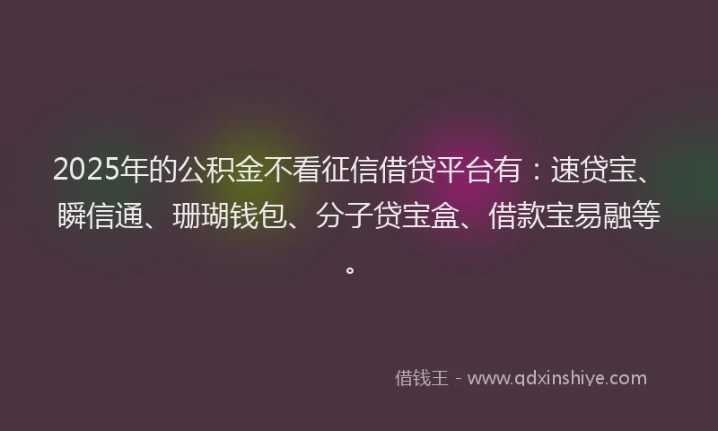 2025年的公积金不看征信借贷平台有：速贷宝、瞬信通、珊瑚钱包、分子贷宝盒、借款宝易融等。