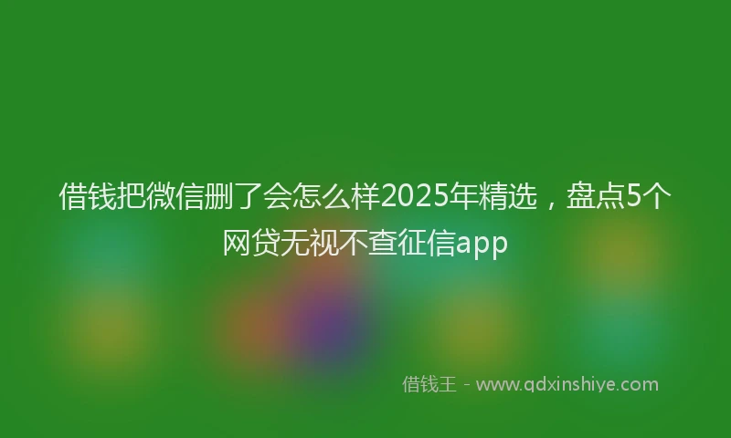 借钱把微信删了会怎么样2025年精选，盘点5个网贷无视不查征信app