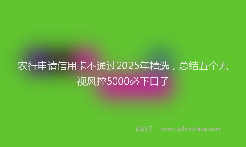 农行申请信用卡不通过2025年精选，总结五个无视风控5000必下口子