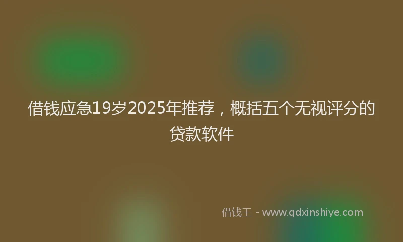借钱应急19岁2025年推荐，概括五个无视评分的贷款软件