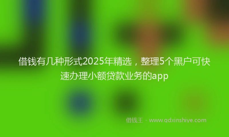 借钱有几种形式2025年精选，整理5个黑户可快速办理小额贷款业务的app