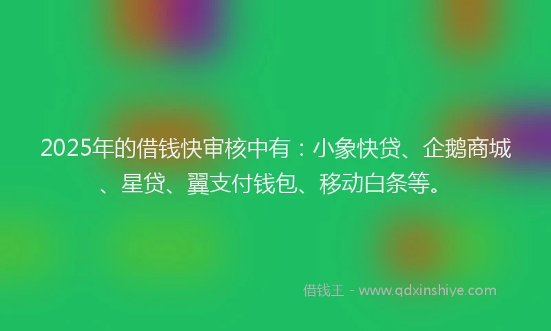 2025年的借钱快审核中有：小象快贷、企鹅商城、星贷、翼支付钱包、移动白条等。