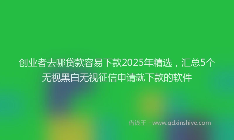 创业者去哪贷款容易下款2025年精选，汇总5个无视黑白无视征信申请就下款的软件